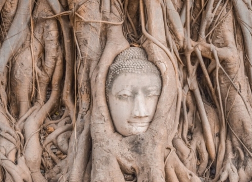 ワットマハタート